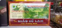 Trà Giảo cổ lam