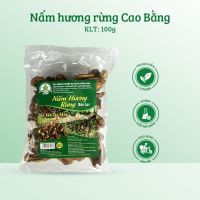 NẤM HƯƠNG RỪNG BẢO LẠC (CAO BẰNG) THƠM NGON 100G