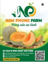 Dưa Lưới Nam Phong