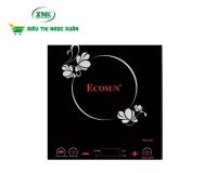 BẾP TỪ ĐƠN ECOSUN BM-IC21