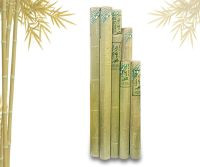 Chiều trúc Kích thước 1.8 x 2m