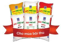 Phân bón Phú Mỹ